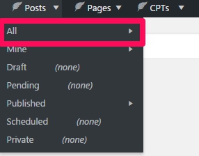 Access to all Posts , Pages , CPT nav link